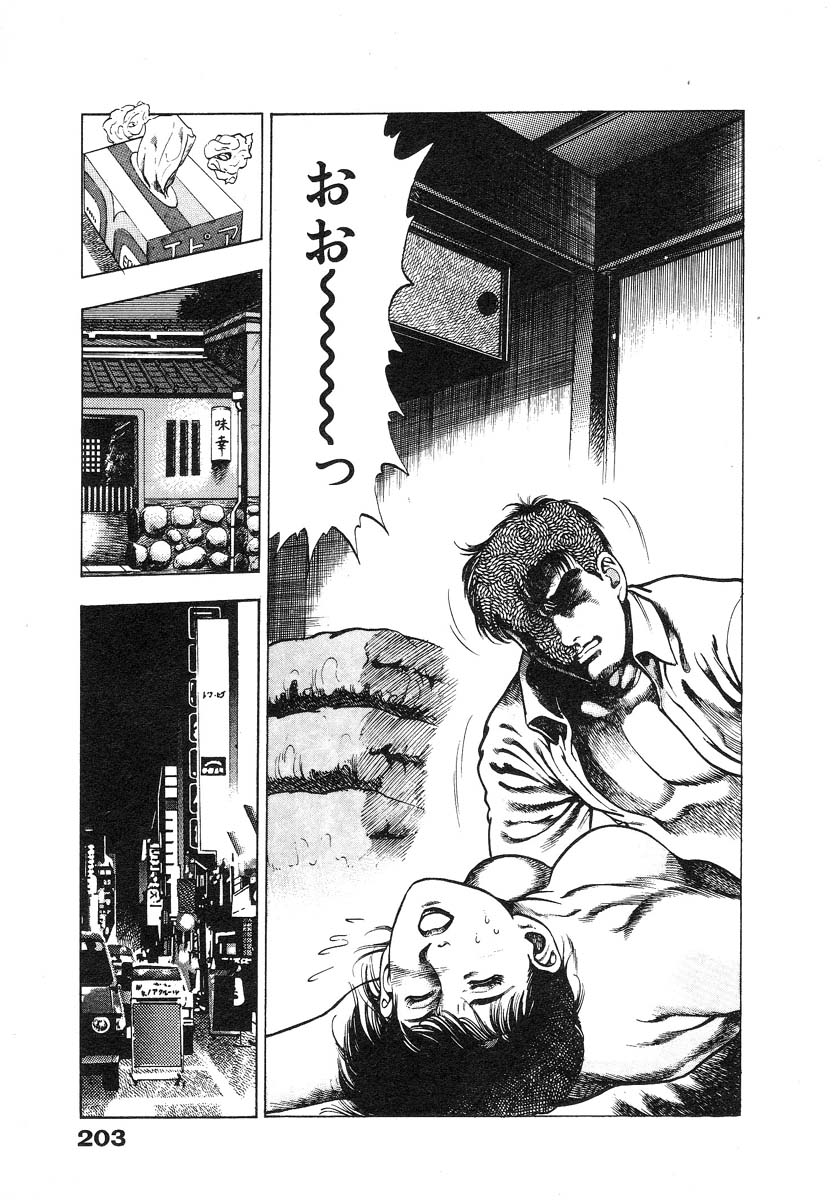 [Maeda Toshio] Ryakudatsu Toshi 1 page 208 full