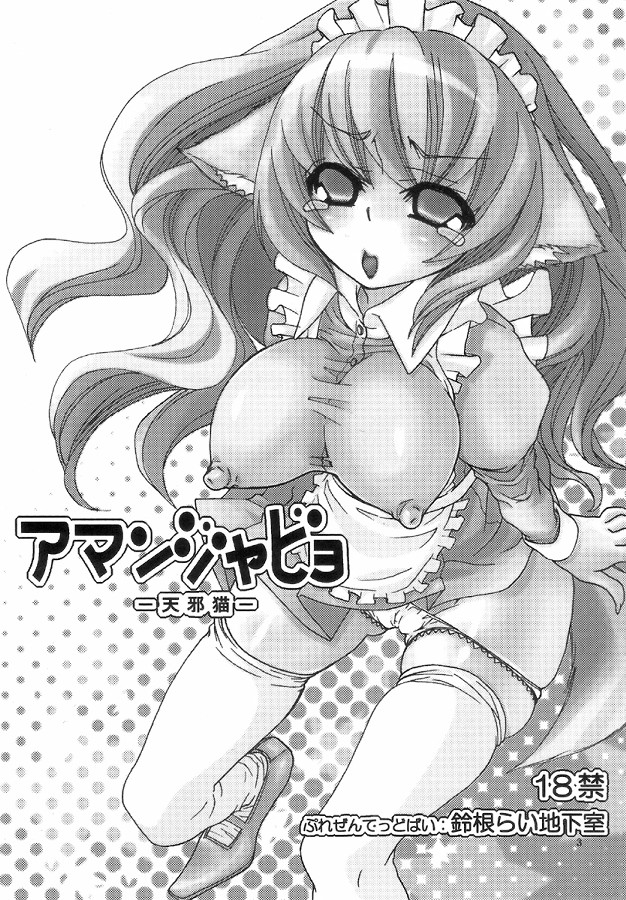 (C71) [Suzune Rai Chikashitsu (Suzune Rai)] Amanjabyo page 3 full