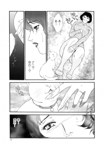 [Fujii Akiko, Akiyama Michio] Hitozuma Moyou 4 Yogarizuma - page 12