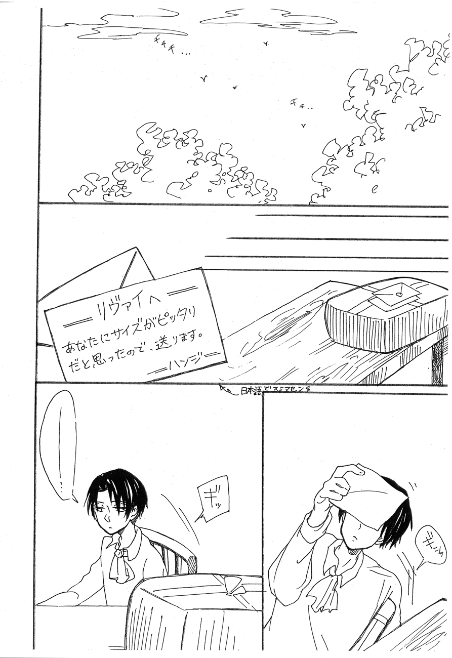 (FALL OF WALL3) [Meru (mario)] Letter (Shingeki no Kyojin) page 5 full