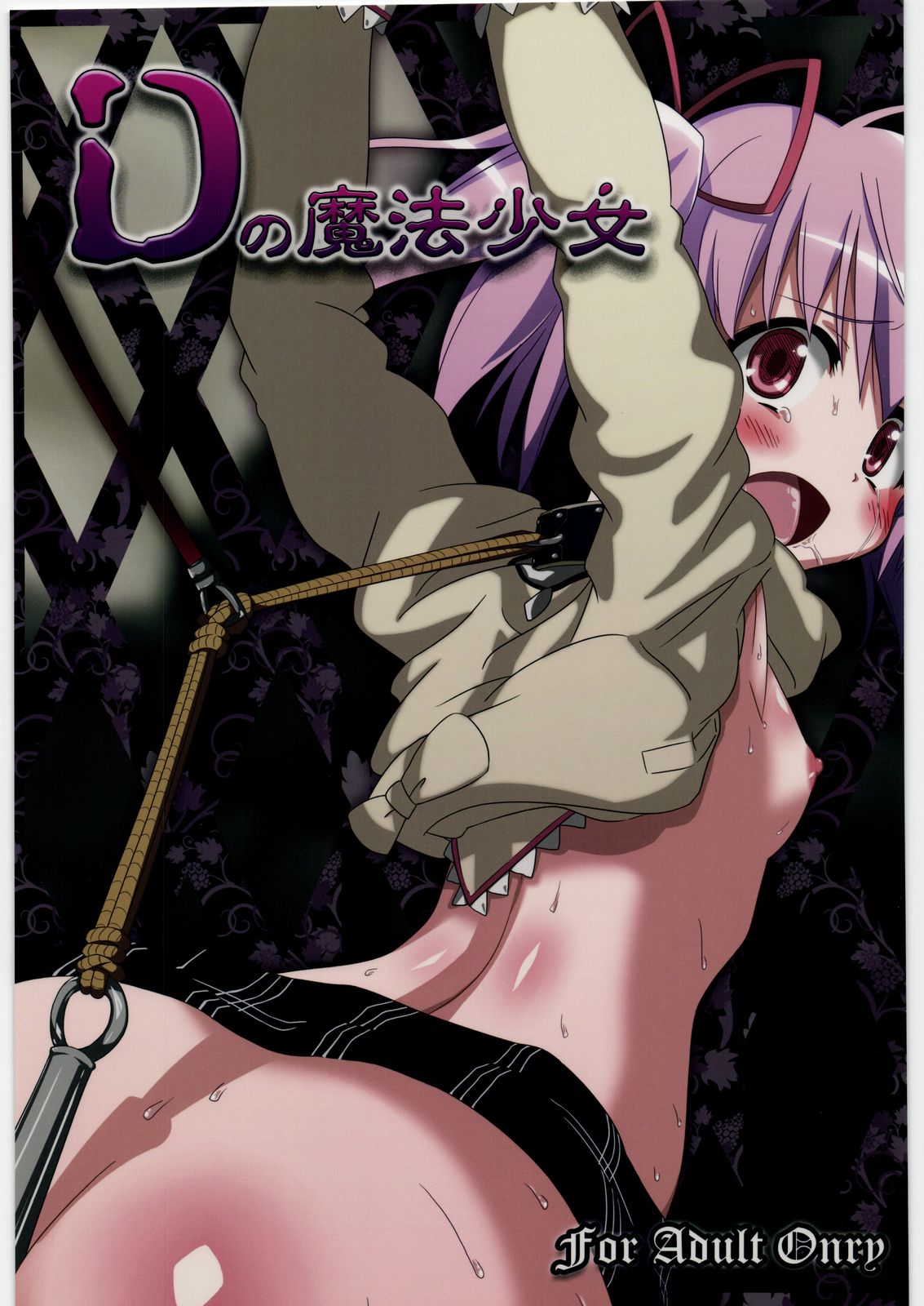 (SC52) [Fukazume Kizoku (Akai Mato)] D no Mahou Shoujo (Puella Magi Madoka Magica) page 1 full