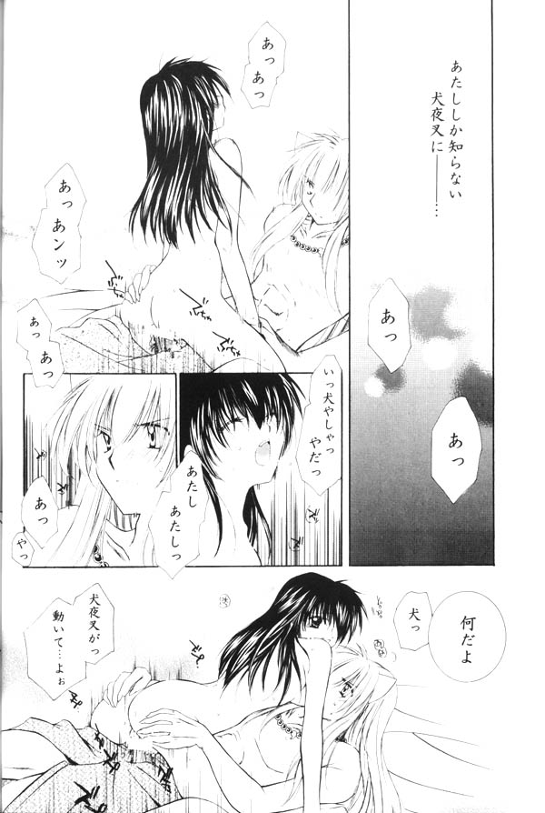 (SUPER13) [Sakurakan (Seriou Sakura)] Onegai Darling (Inuyasha) page 48 full