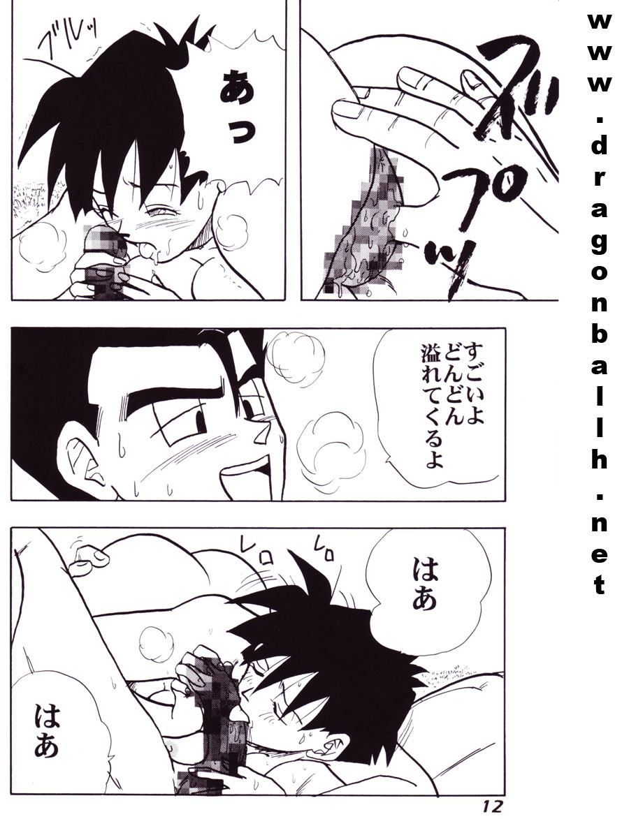 (C52) [Fusuma Goten (Shouji Hariko)] Irohani (Dragonball Z) page 12 full