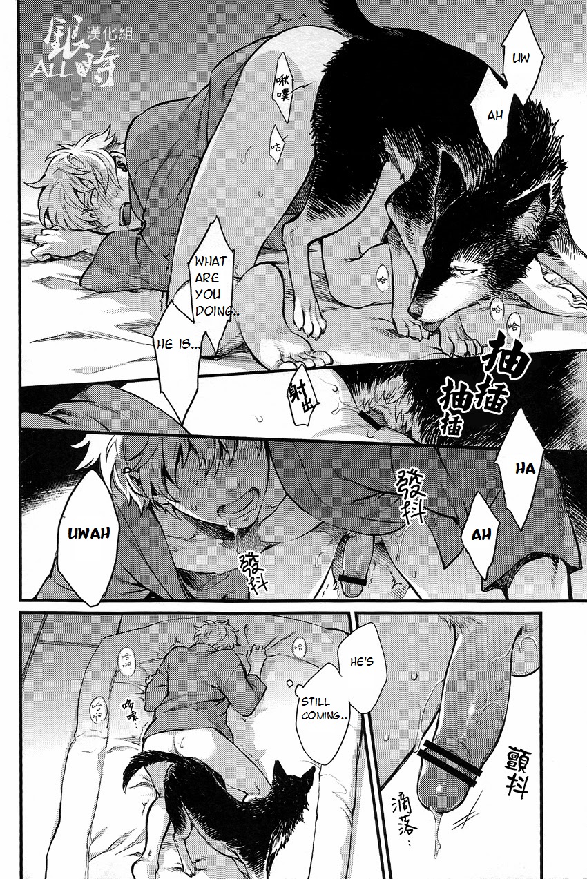 (HaruCC18) [3745HOUSE, tekkaG (MIkami Takeru, Haru)] HOW to SPOIL YOUR DOG (Gintama) [English] [valc21] page 34 full