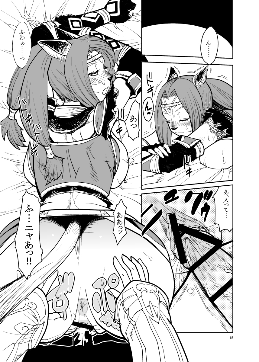 [Kuroshiki (Kurohiko)] Kuroshiki Vol. 7 (Final Fantasy XI) [Digital] page 14 full