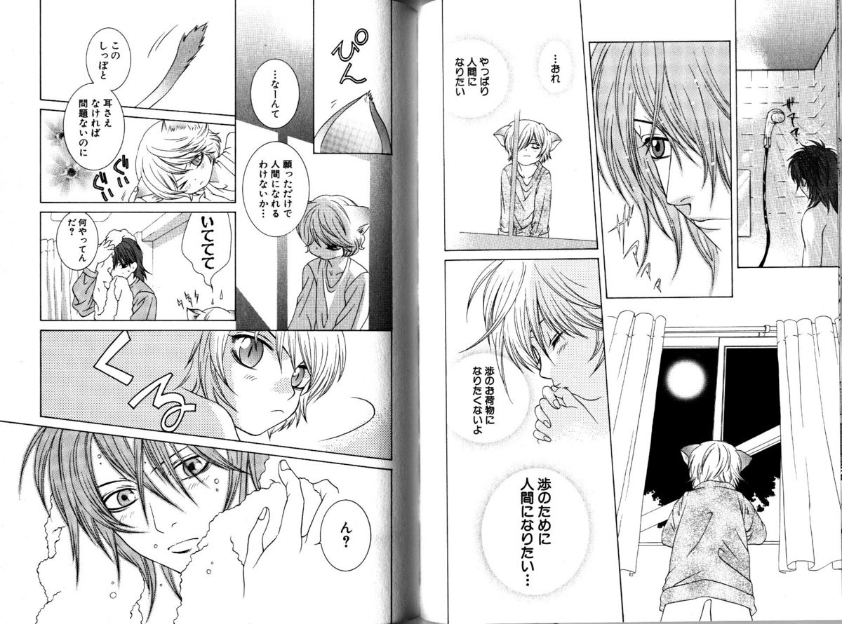 Akana Meiko - Nekokan page 51 full
