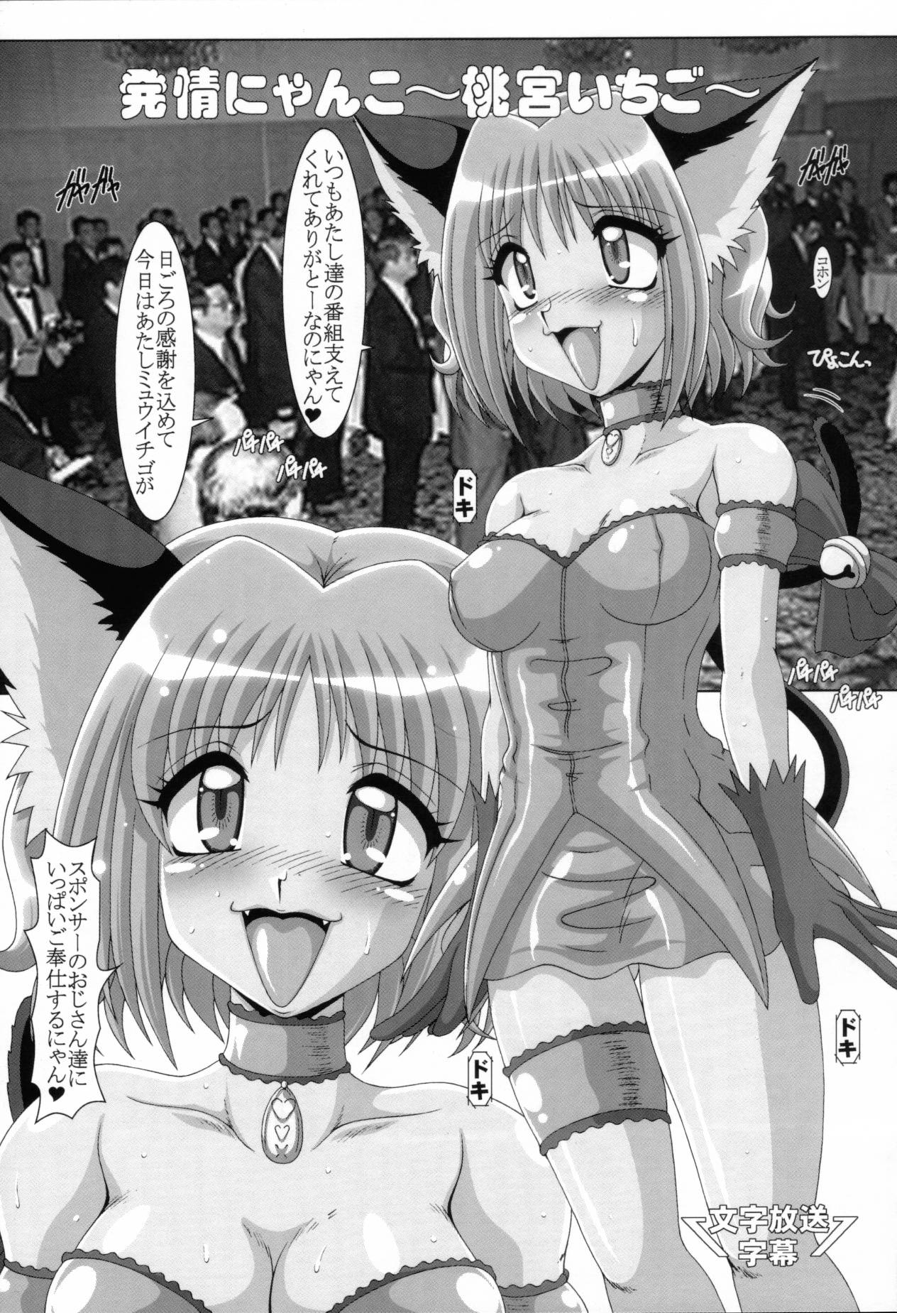 (C61) [Hakueki Shobou (A-Teru Haito)] Choukyou Mew Mew (Tokyo Mew Mew) page 4 full