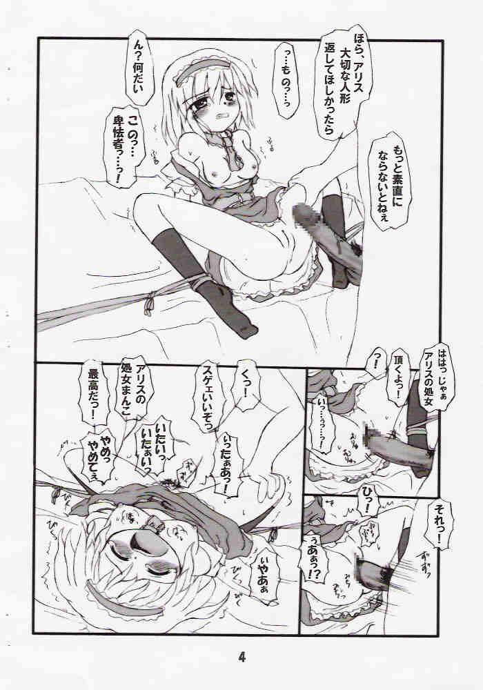 [Schwester (Shirau Inazaki)] Imouto Youmu (Touhou Project) page 3 full