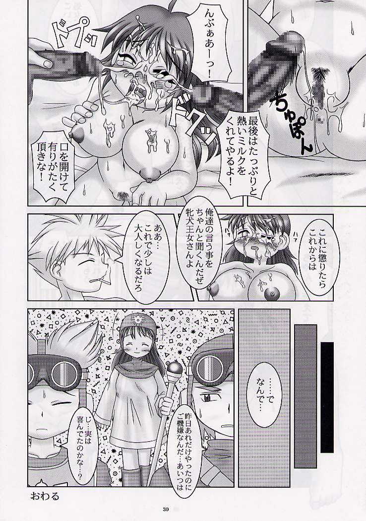 (C57) [GADGET (Various)] DRAGONQUEST nirvana (Dragon Quest) page 29 full