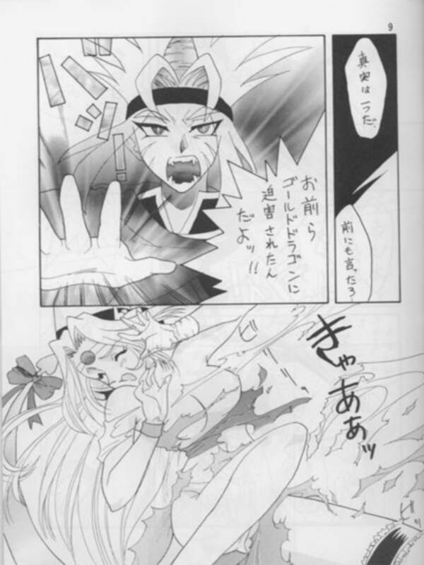 [Ginmomodou (Mita Satomi)] SLAYERS ADULT 3 (Slayers) page 8 full