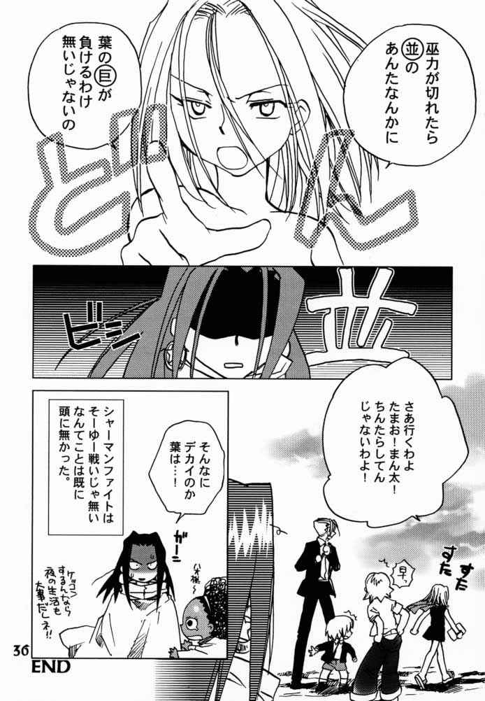 (CR28) [Megaplus (Okano Ahiru)] Shaman Queen (Shaman King) page 35 full