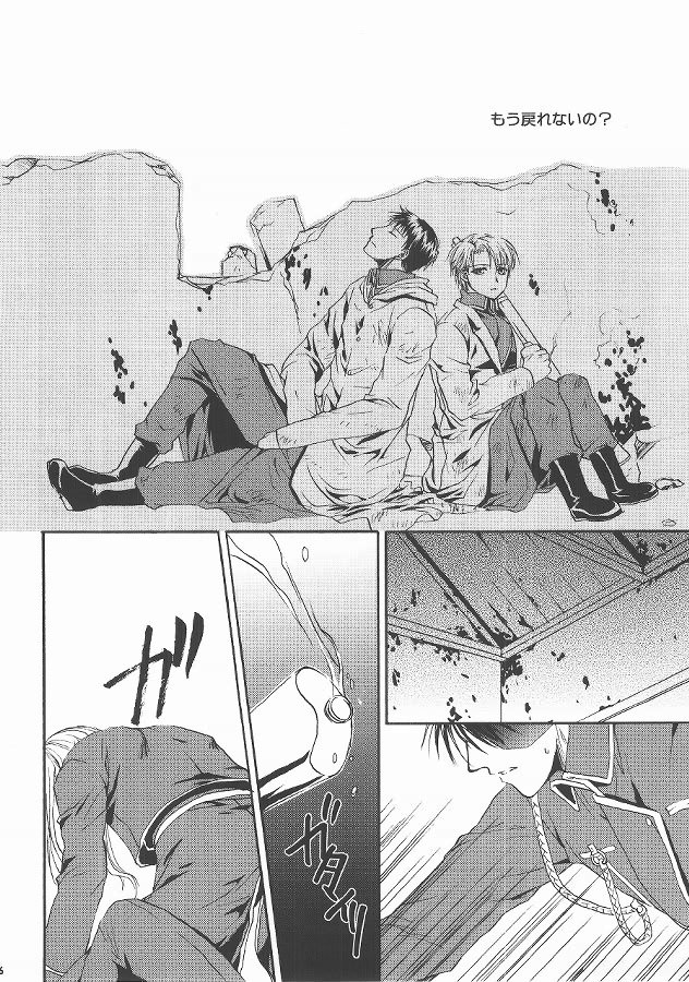 (C69) [Fairy Pink (Asano Akira)] Angel Snow (Fullmetal Alchemist) page 14 full