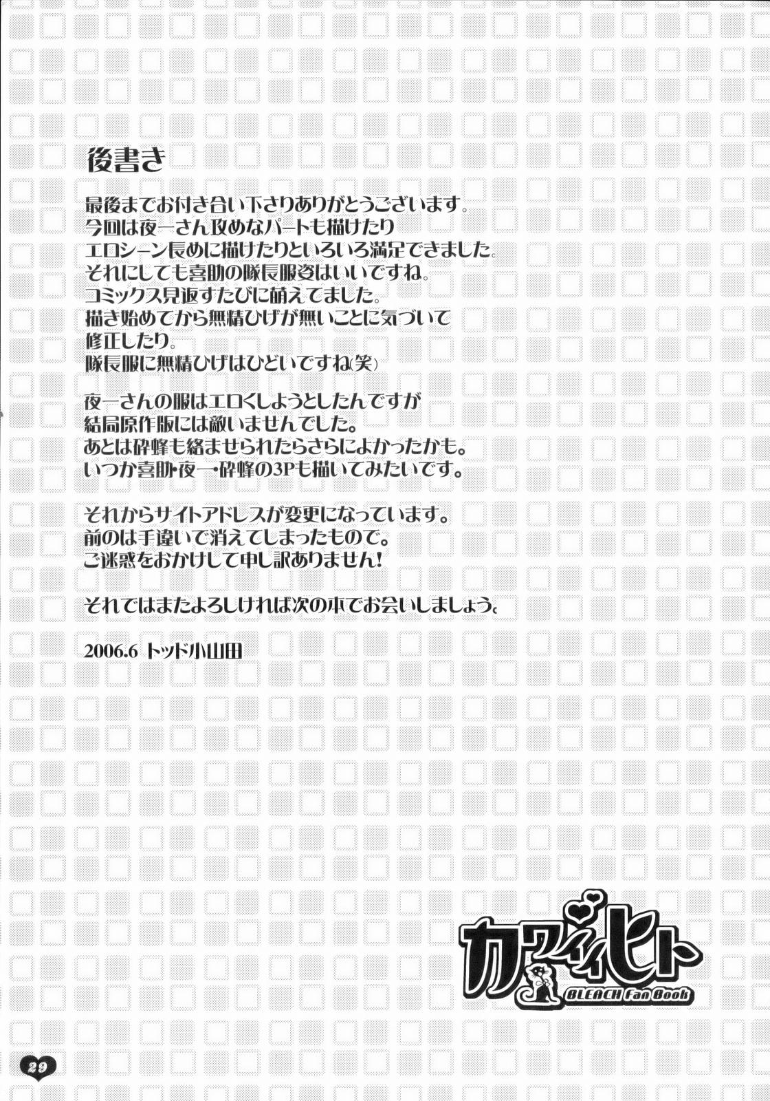 [Todd Special (Todd Oyamada)] Kawaii Hito (BLEACH) [English] [Decensored] [FAKKU] page 29 full