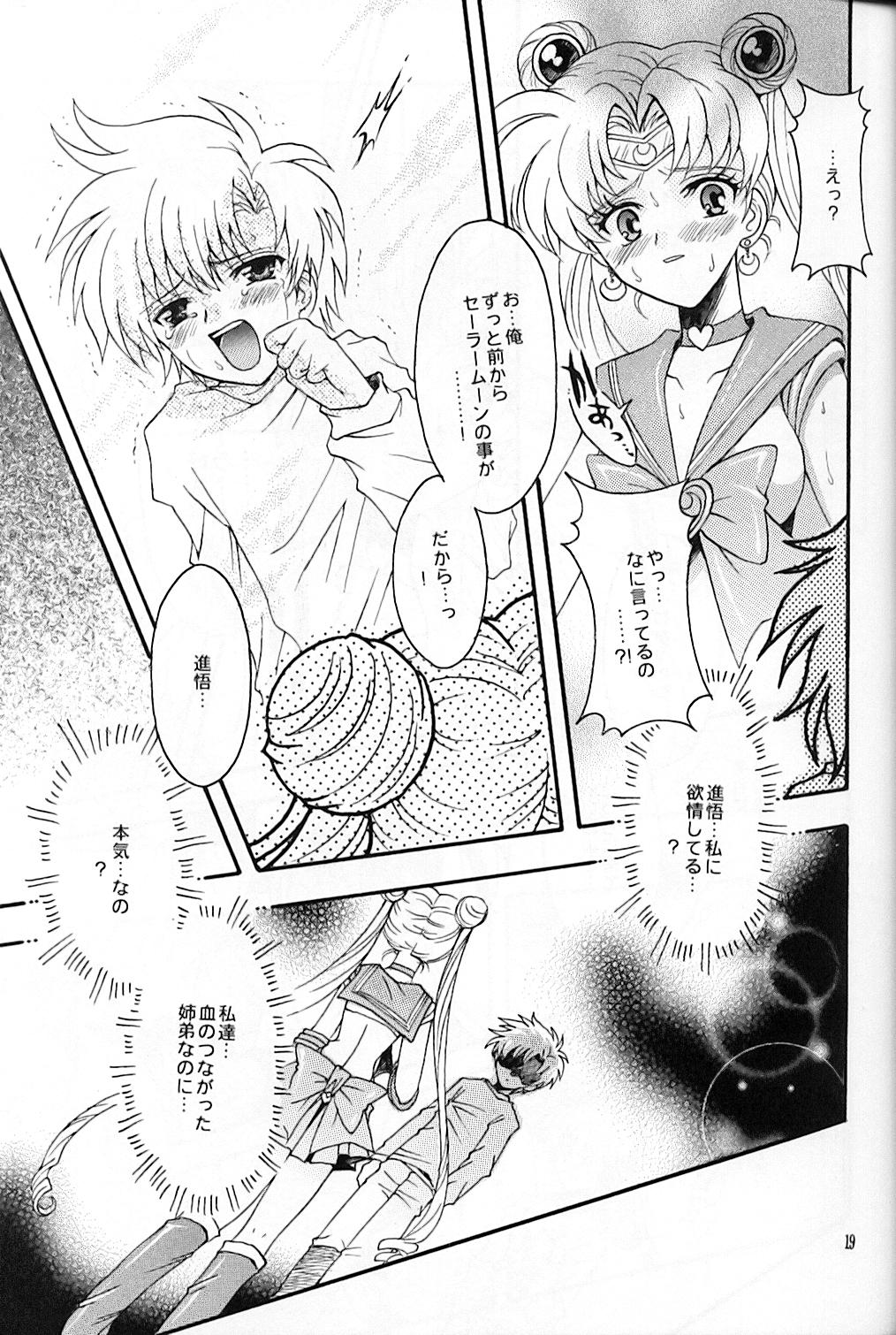 (C67) [Kotori Jimusho (Sakura Bunchou)] chanson de I'adieu (Sailor Moon) page 20 full