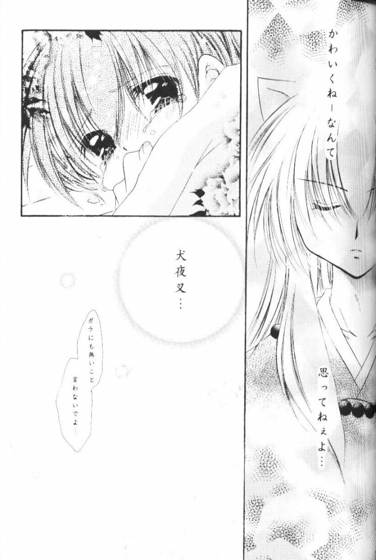 (CR33) [Sakurakan (Seriou Sakura)] Hoshikuzu Drop (Inuyasha) page 38 full