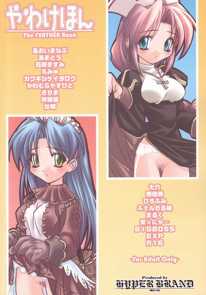 [BIG BOSS, HYPER BRAND (Various)] Yawakehon - The FEATHER book (Ragnarok Online) page 20 full