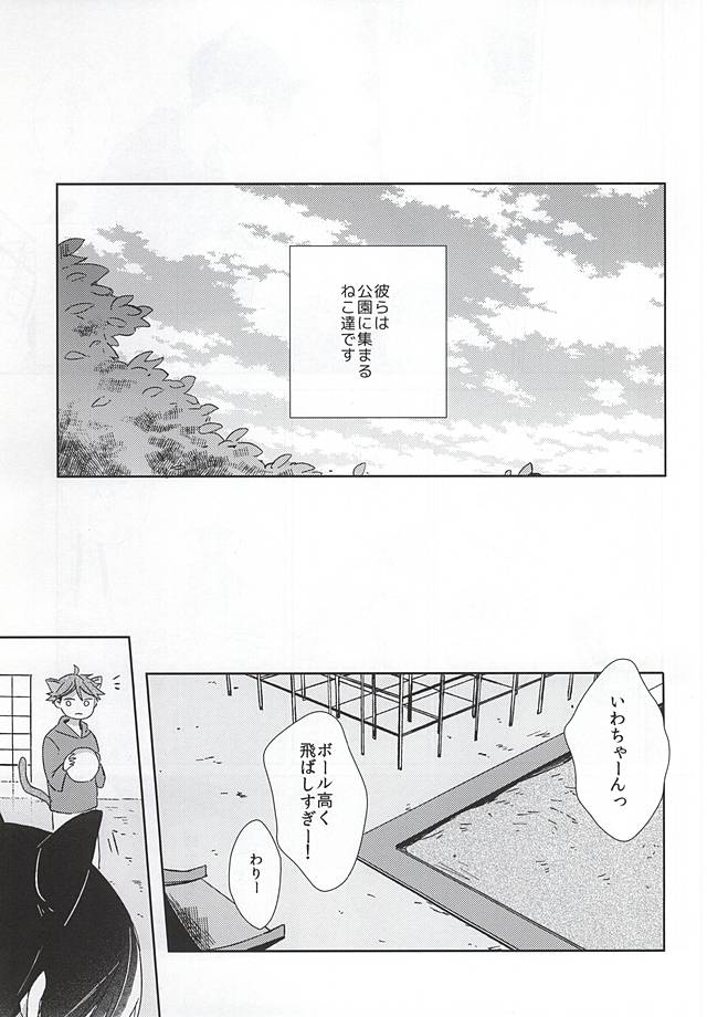 (RTS!!5) [Shounen-H (Yuuki)] Neko ni Natta Oikawa-san (Haikyuu!!) page 2 full