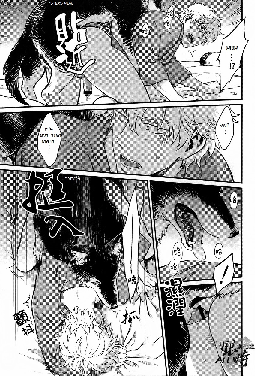 (HaruCC18) [3745HOUSE, tekkaG (MIkami Takeru, Haru)] HOW to SPOIL YOUR DOG (Gintama) [English] [valc21] page 29 full