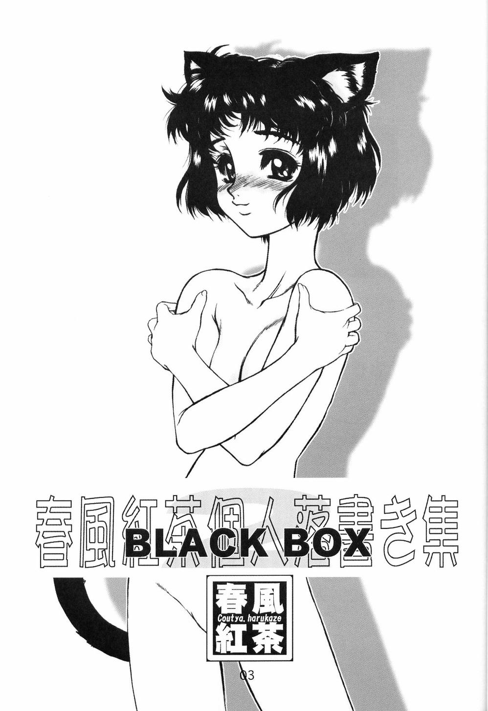 (C63) [AXZ (Harukaze Koucha)] Akugou Sanmai Ni | BLACK BOX (Neon Genesis Evangelion) page 2 full