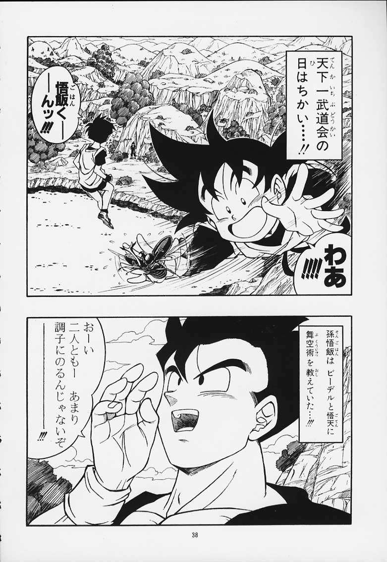 [Rehabilitation (Garland)] DRAGONBALL H Maki Ichi Ni Saihan (Dragon Ball Z) page 37 full