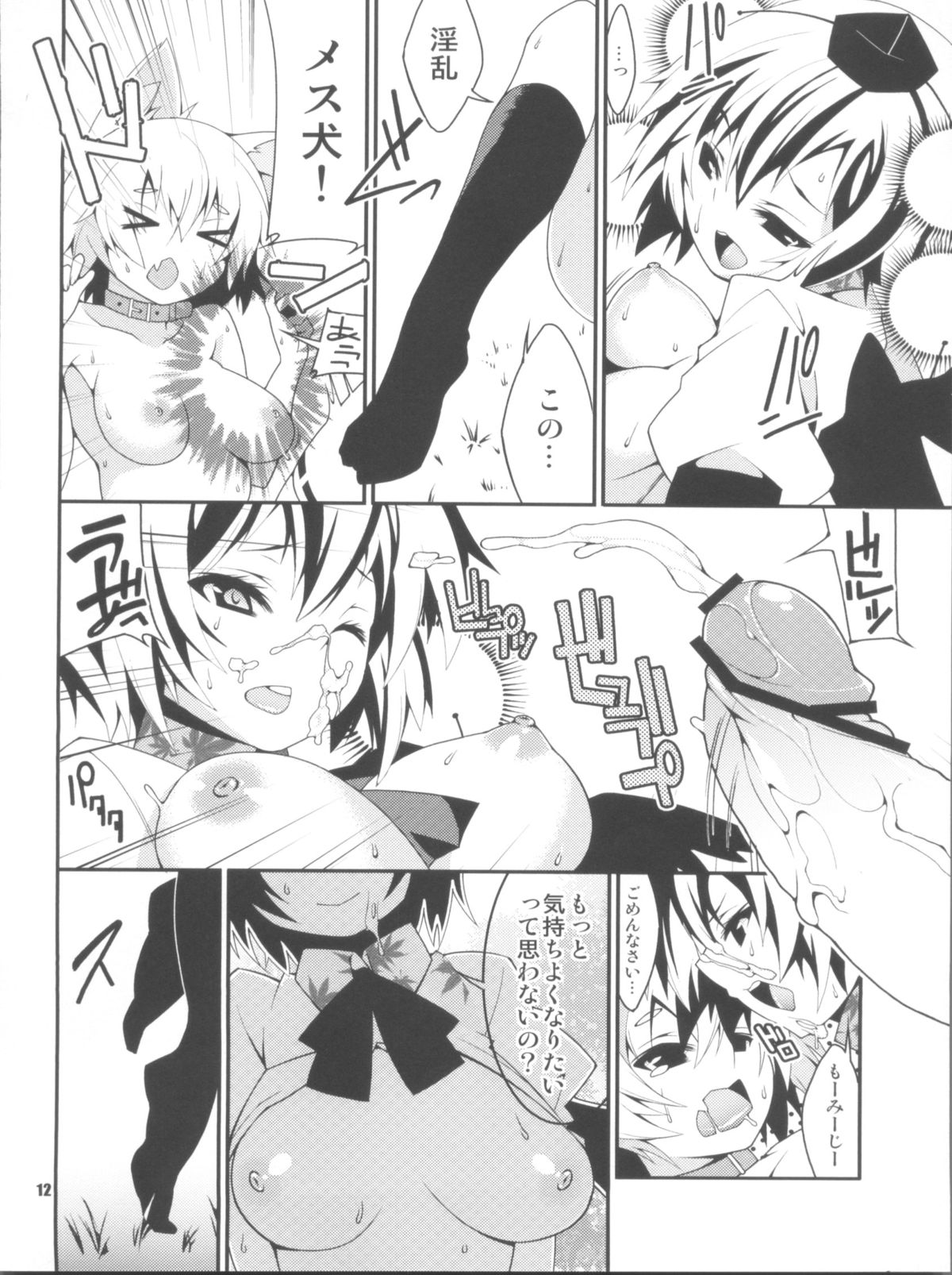 (Reitaisai 10) [SUZUNA JCT (Matsuyuki Kabun)] Kemono no Yume Dream of the beast (Touhou Project) page 13 full