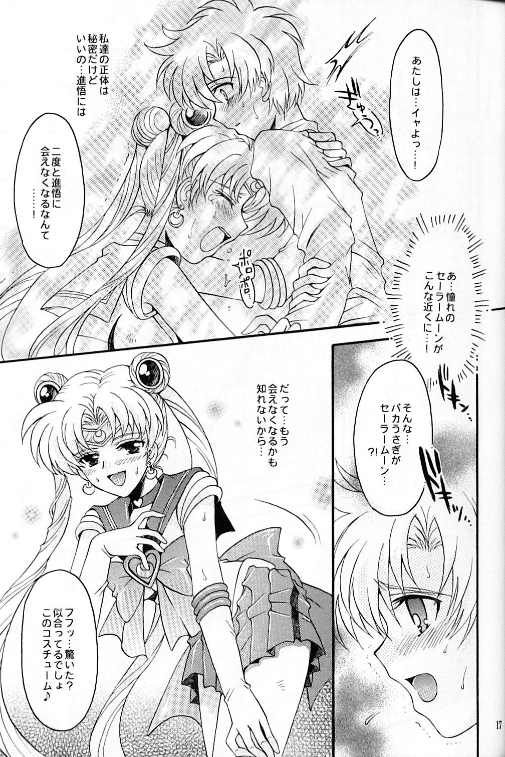 (C67) [Kotori Jimusho (Sakura Bunchou)] chanson de I'adieu (Sailor Moon) page 18 full