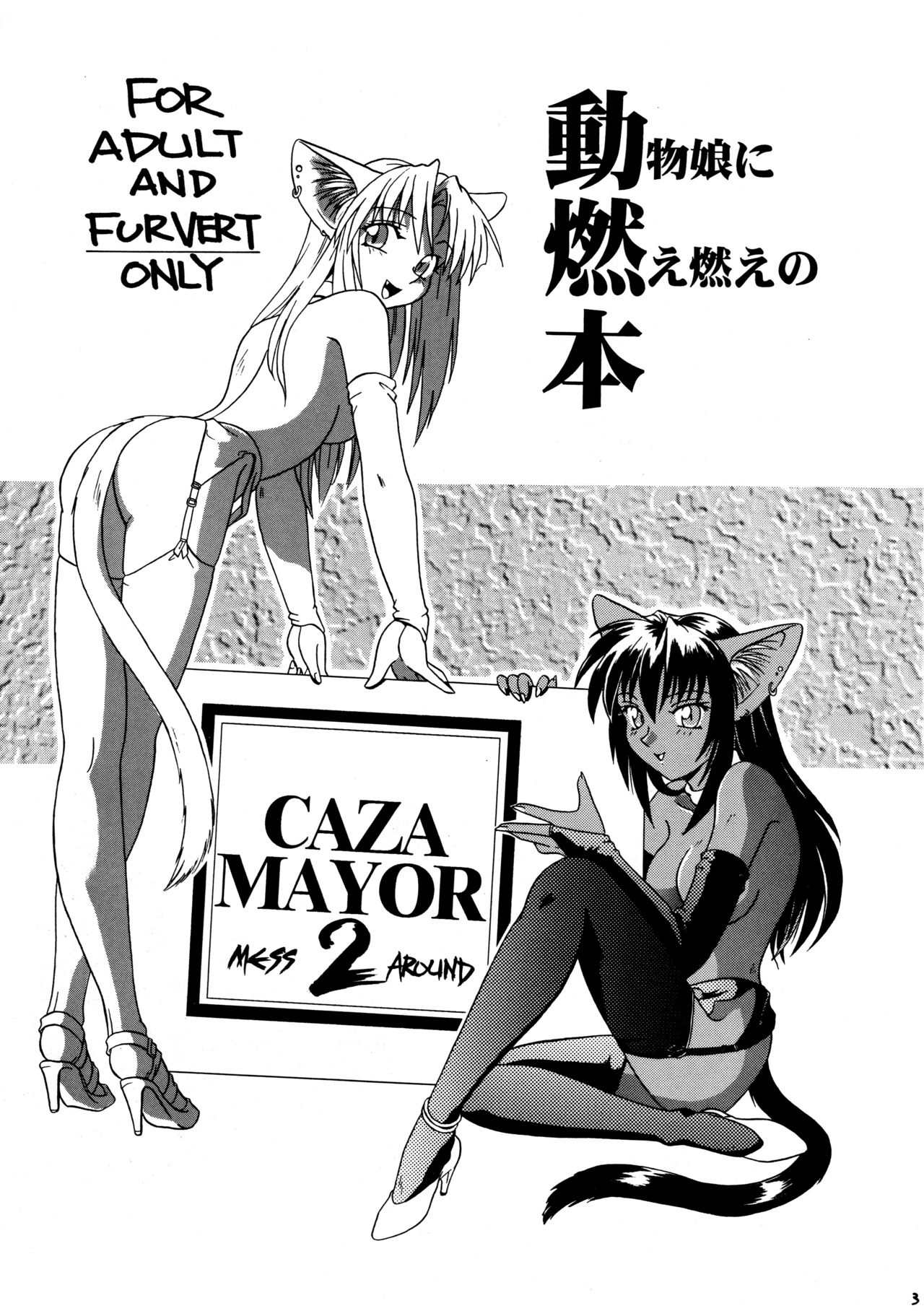 [ネコミミ団(.30-06)] CAZA MAYOR 2 page 3 full