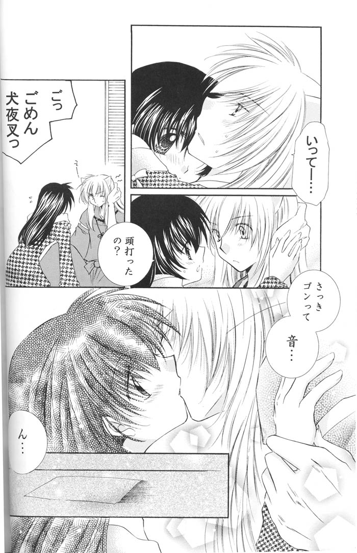 (C67) [Sakurakan (Seriou Sakura)] Lovers (InuYasha) page 29 full