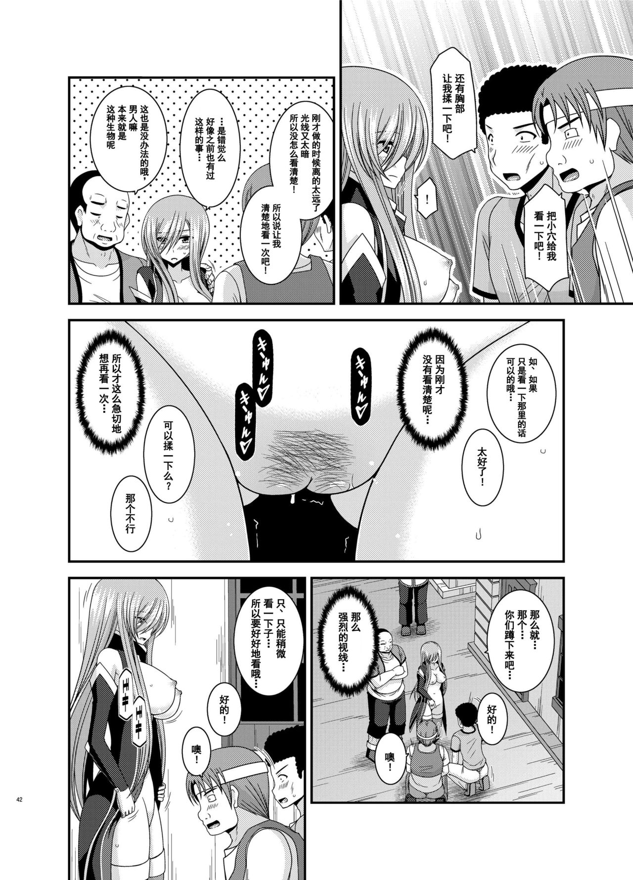 [valssu (Charu)] Melon ga Chou Shindou! R12 (Tales of the Abyss) [Chinese] [流星汉化] [Digital] page 41 full