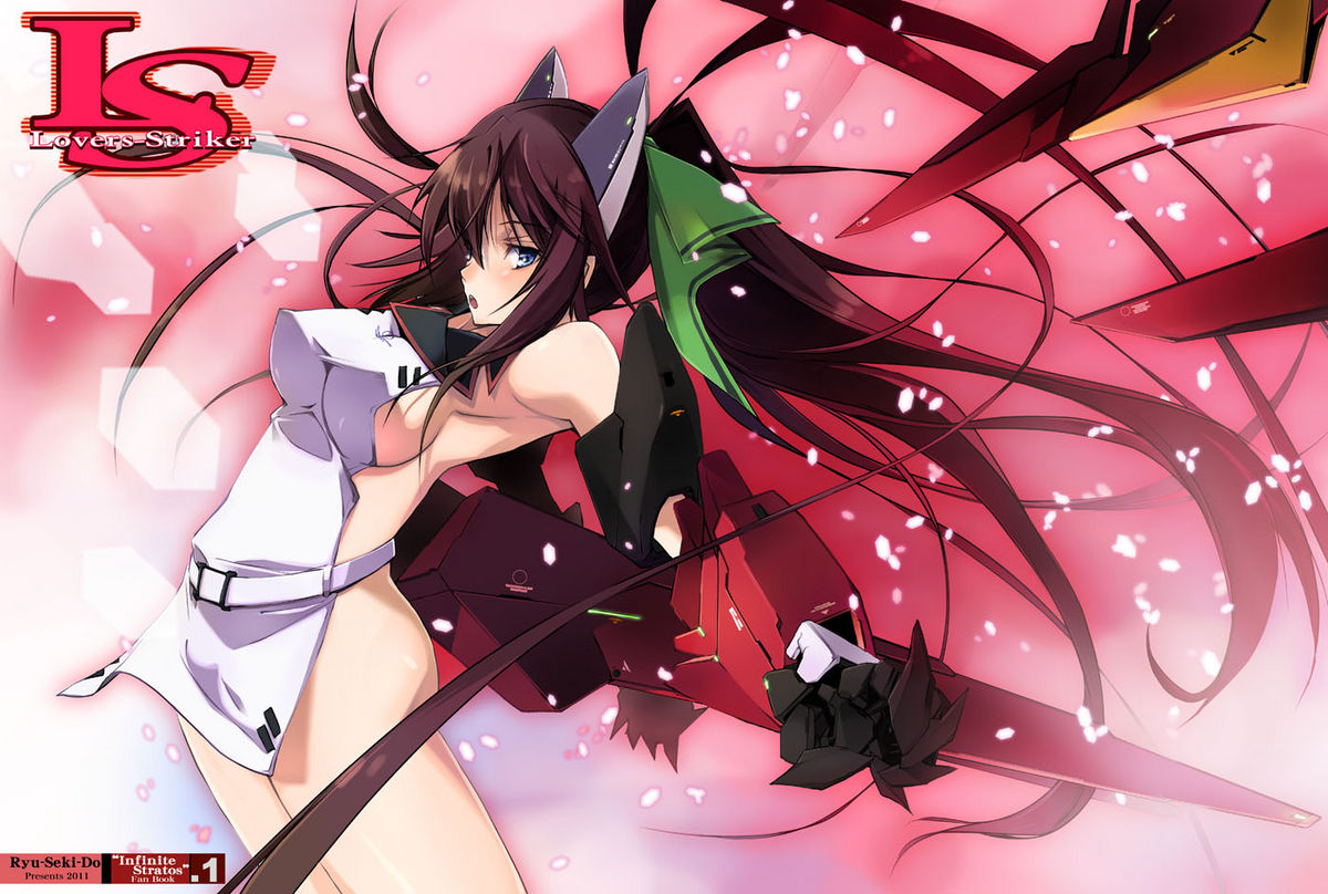 (SC50) [RYU-SEKI-DO (Nagare Hyo-go)] LS Lovers Striker (IS <Infinite Stratos>) [English] page 1 full