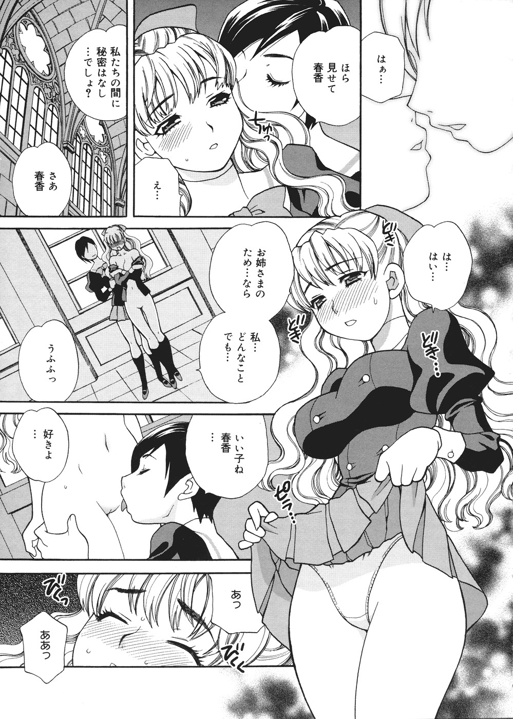 [Yukiyanagi] Seijo Gakuen ~Solvielle no Densetsu~ (Saint Woman education institution) page 28 full