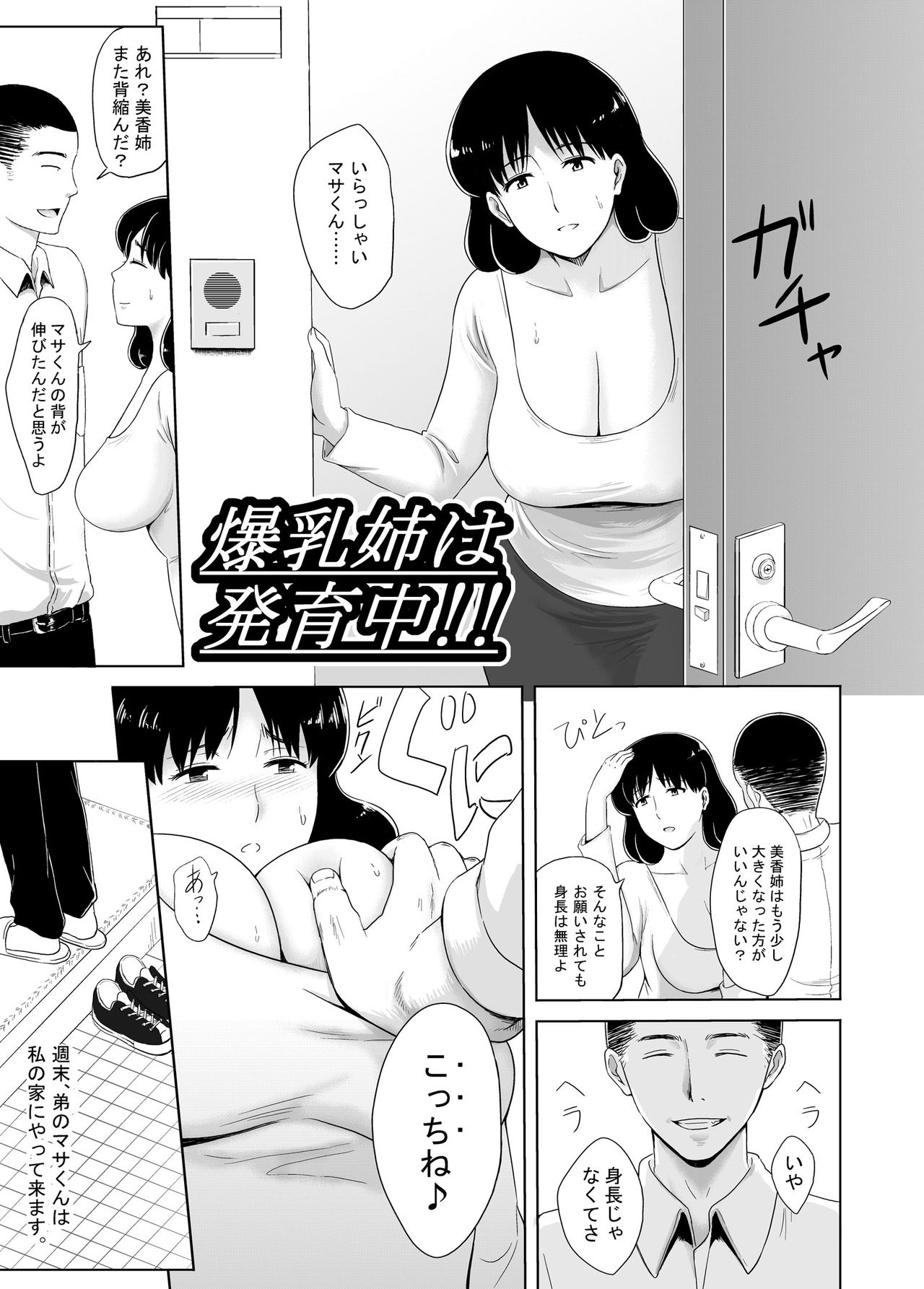 [Vulcannu] Bakunyuu Ane wa Hatsuikuchuu!! page 3 full