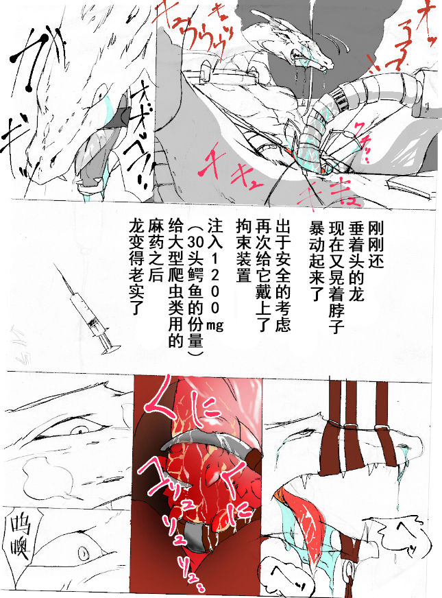 [竜族生態調査班] 竜族の捕獲に成功 [Chinese] [逃亡者×新桥月白日语社&不咕鸟汉化组] page 23 full