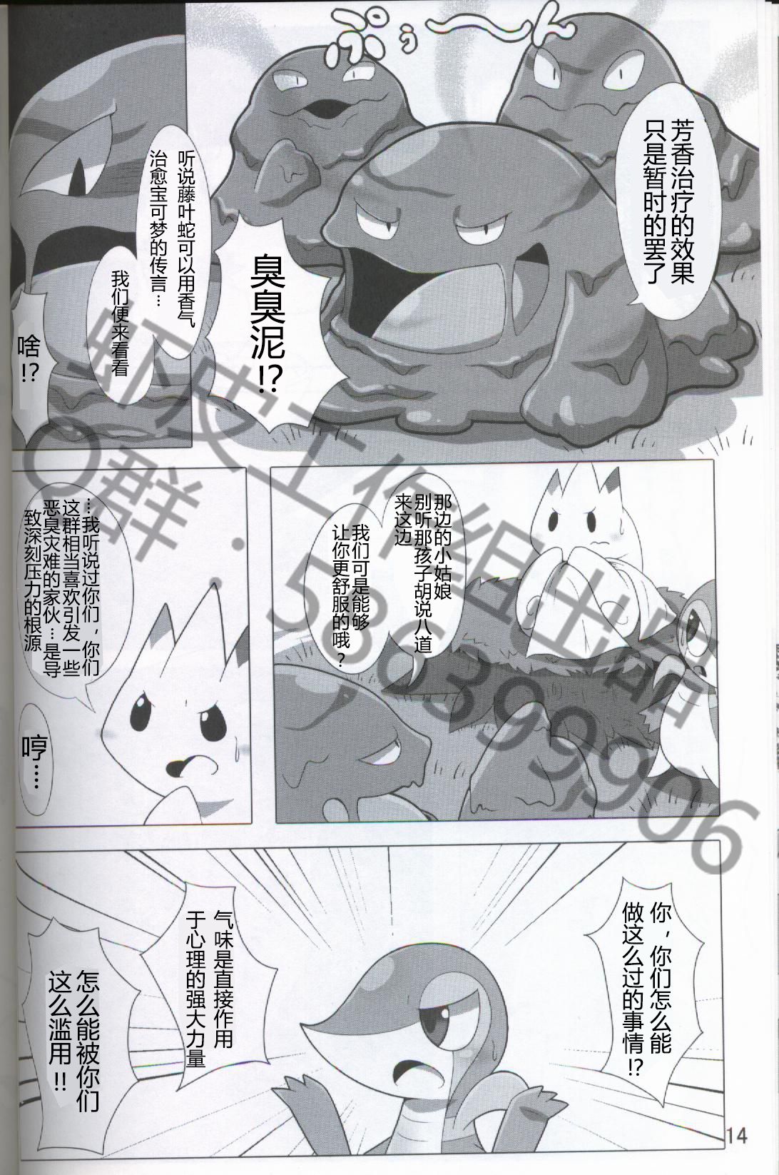 (Kansai! Kemoket 5) [Fuwatto (who)] Pokéda | 宝可堕 (Pokémon) [Chinese] [虾皮工作组] page 15 full