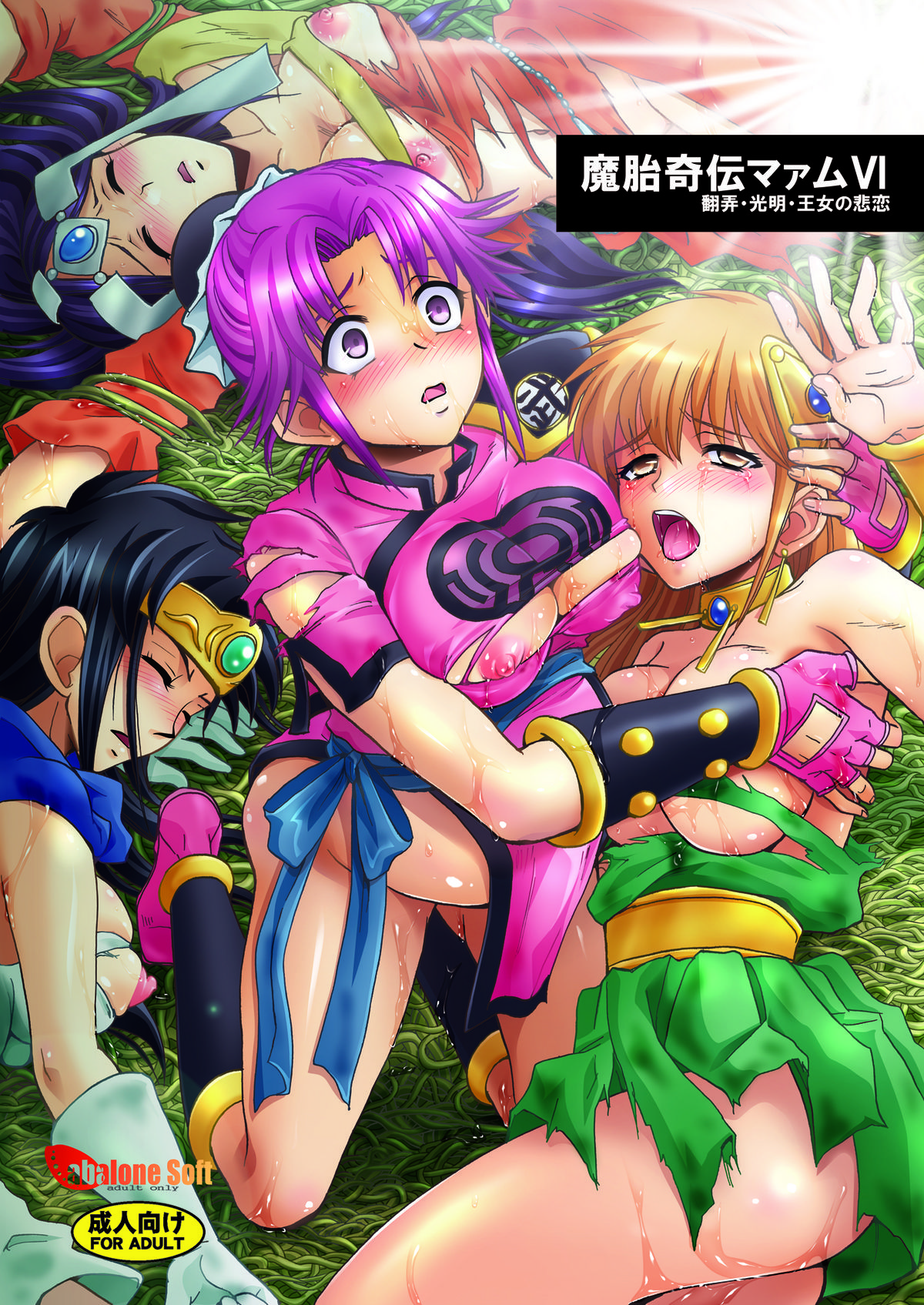 [Abalone Soft (Modaetei Imojirou)] Mataikiden Maam VI ~Honrou. Koumyou. Oujo no Hiren~ (Dragon Quest Dai no Daibouken) [Digital] page 1 full