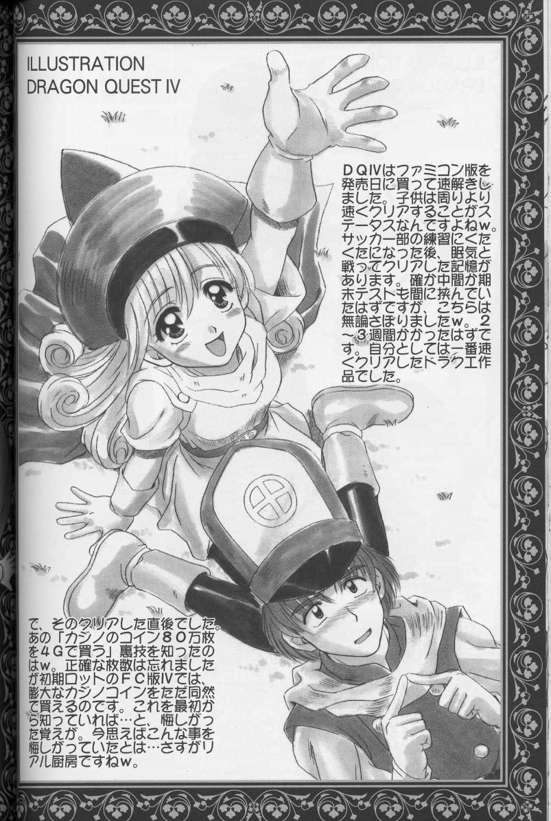 (CR33) [STUDIO RUNAWAY WOLF (Nakajima Akihiko)] Moe Moe Quest (Dragon Quest) page 32 full