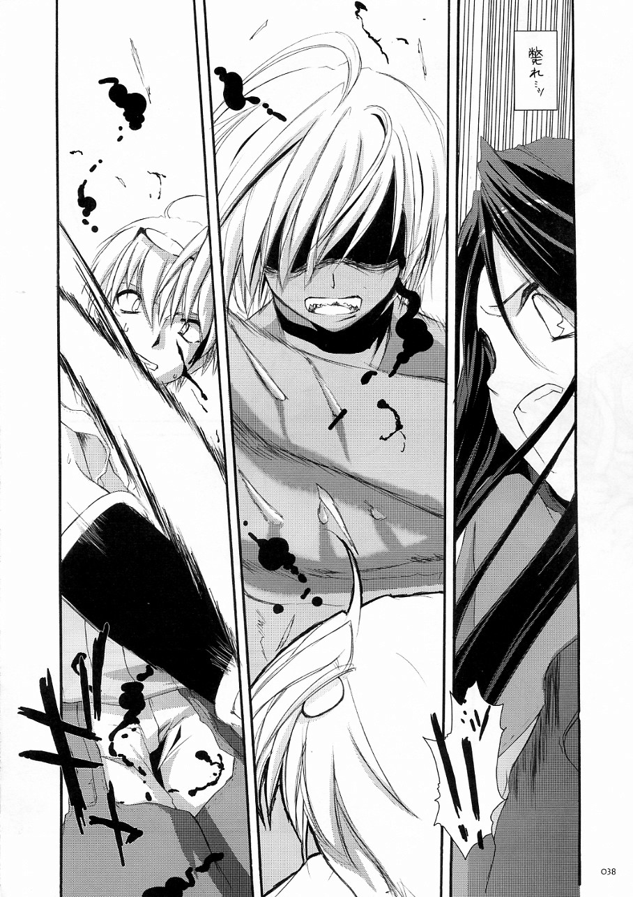 [Digital Lover] DL-RO Soushuuhen 3 (Ragnarok Online) page 37 full
