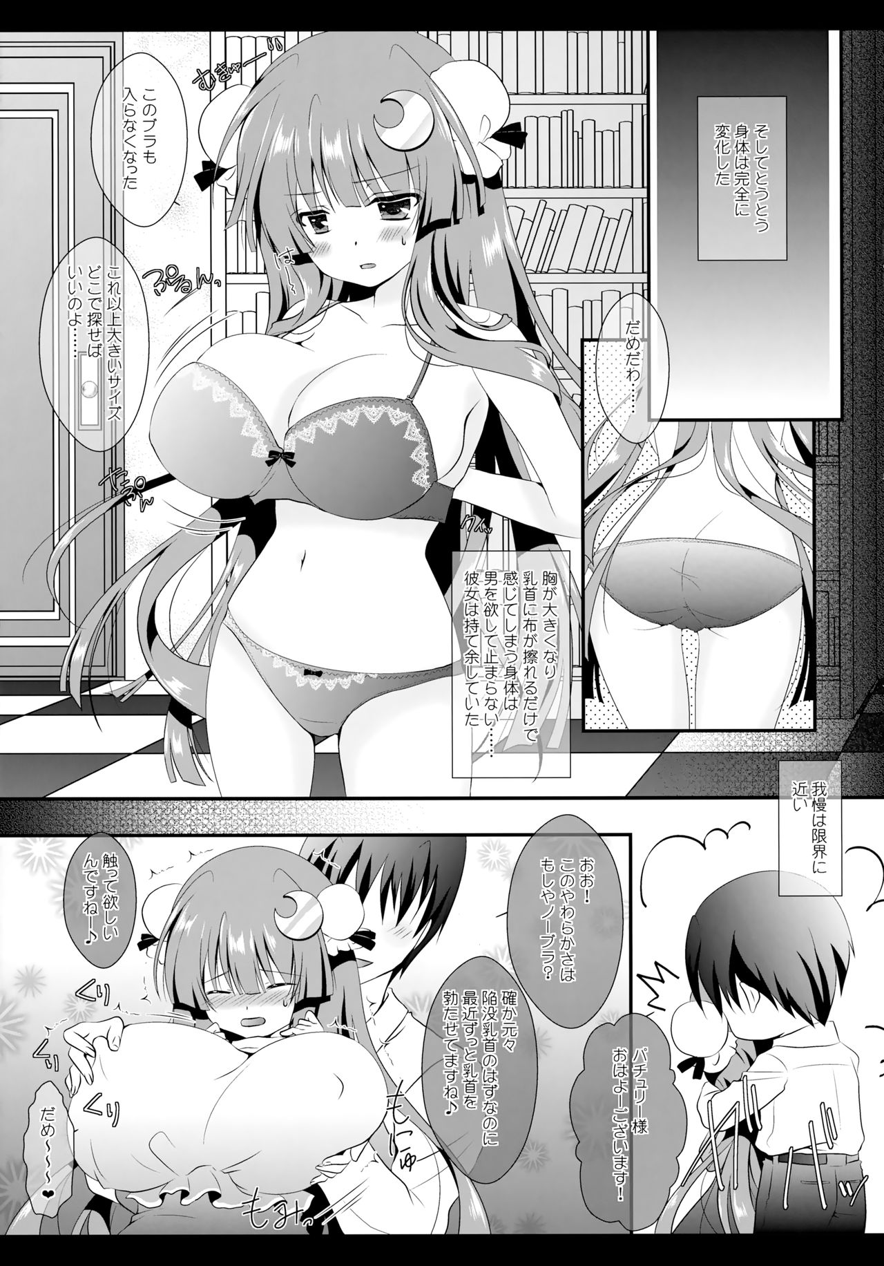 (C86) [Setoran (Itou Seto,Tanno Ran)] Milk Milk (Touhou Project) page 54 full