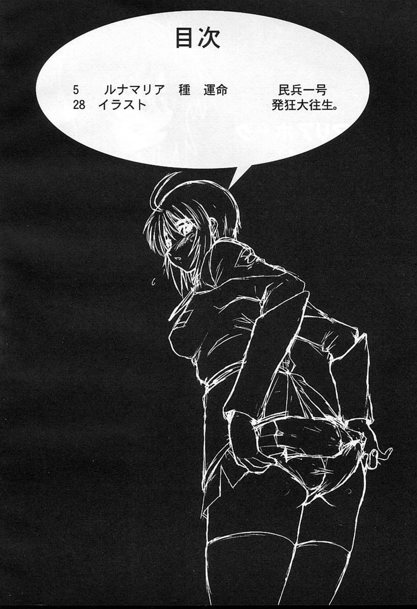 (CR37) [Dashigara 100%] Lunamaria Hawke Senyoush ~Lunamaria Hawke Deru wa yo!~ (Gundam SEED DESTINY) page 2 full