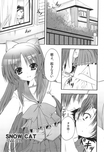 (C74) [SUGAR(S)POT (Sugar Picola, Tsukishima Yuuko)] PICOMANI:04 (ToHeart 2) - page 4