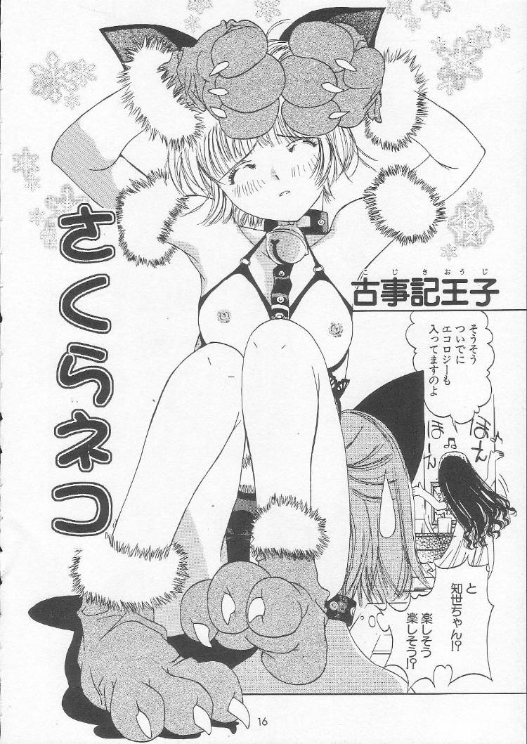 [MAGNA-BROSS (Kojiki Ohji)] Sakura Chiru Sakura (Cardcaptor Sakura) page 15 full