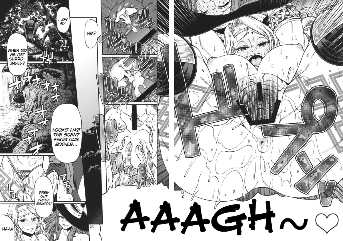 (C80) [CELLULOID-ACME (Chiba Toshirou)] PARTY HARD (Dragon's Crown) [English] [doujin-moe.us] page 21 full