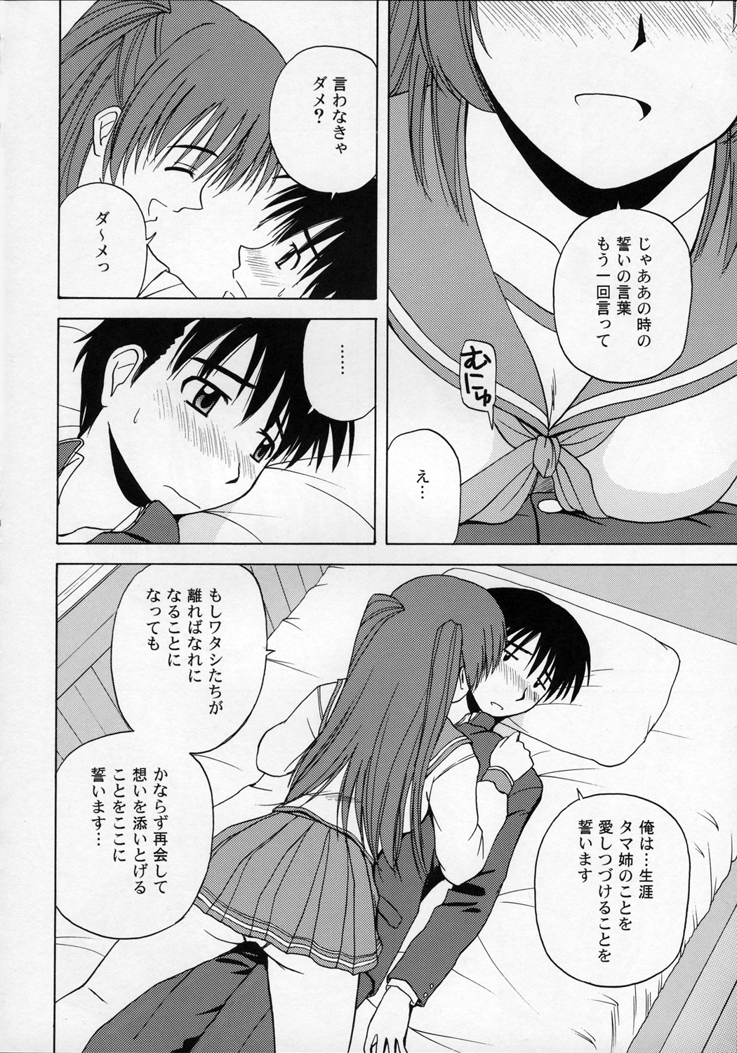 (C68) [G-SCAN CORP. (Satou Chagashi)] Tama-nee to Issho (ToHeart 2) page 3 full