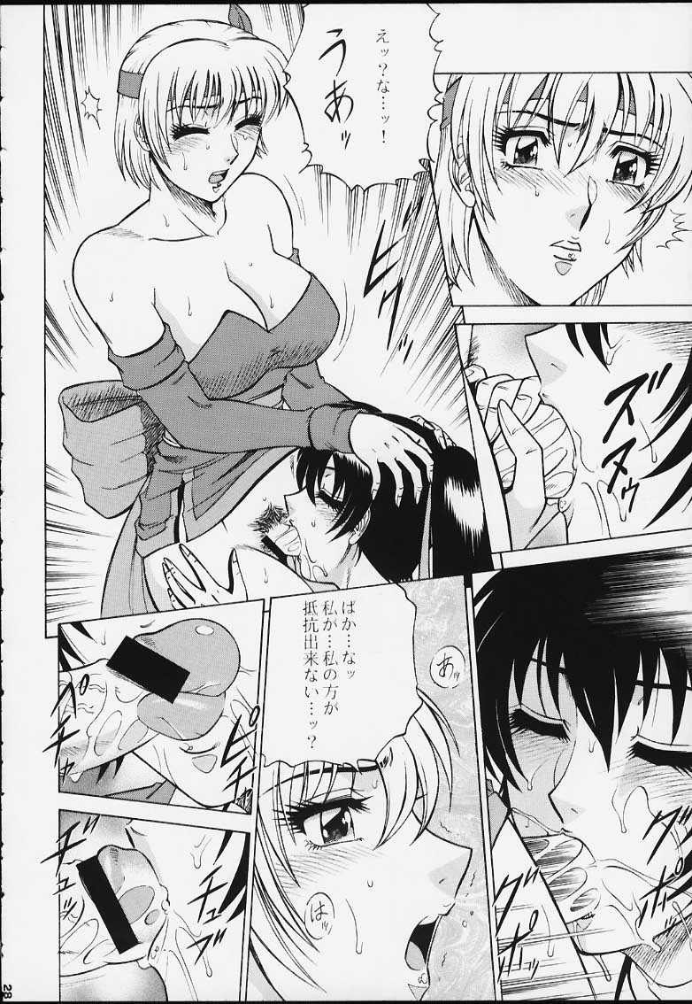 (C59) [Circle Taihei-Tengoku (Aratamaru)] NIGHT HEAD 12 (Dead or Alive) page 25 full