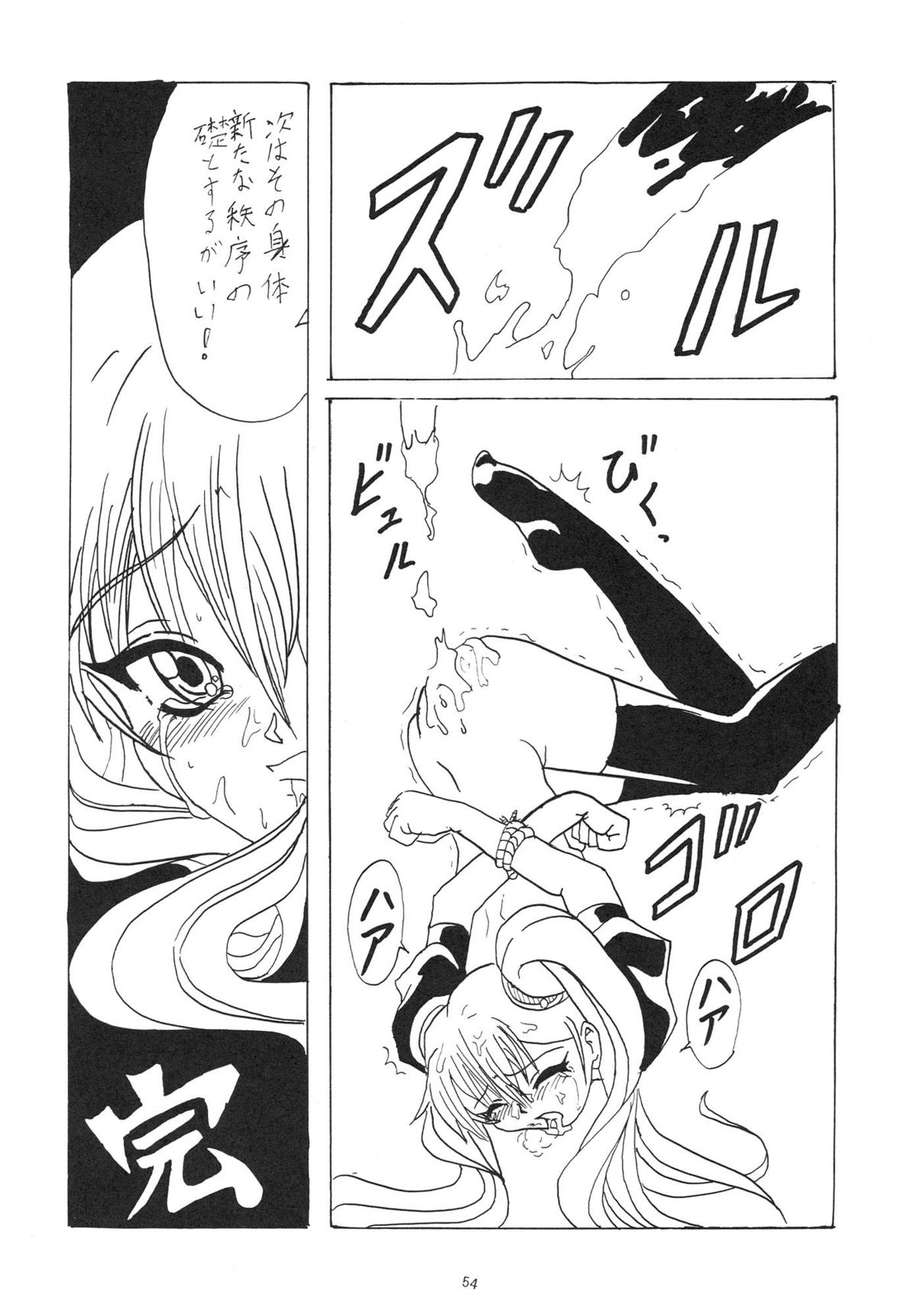 (C55) BLUE GARNET (Serizawa Katsumi) SURVIVE (Slayers, Oh My Goddess!) page...