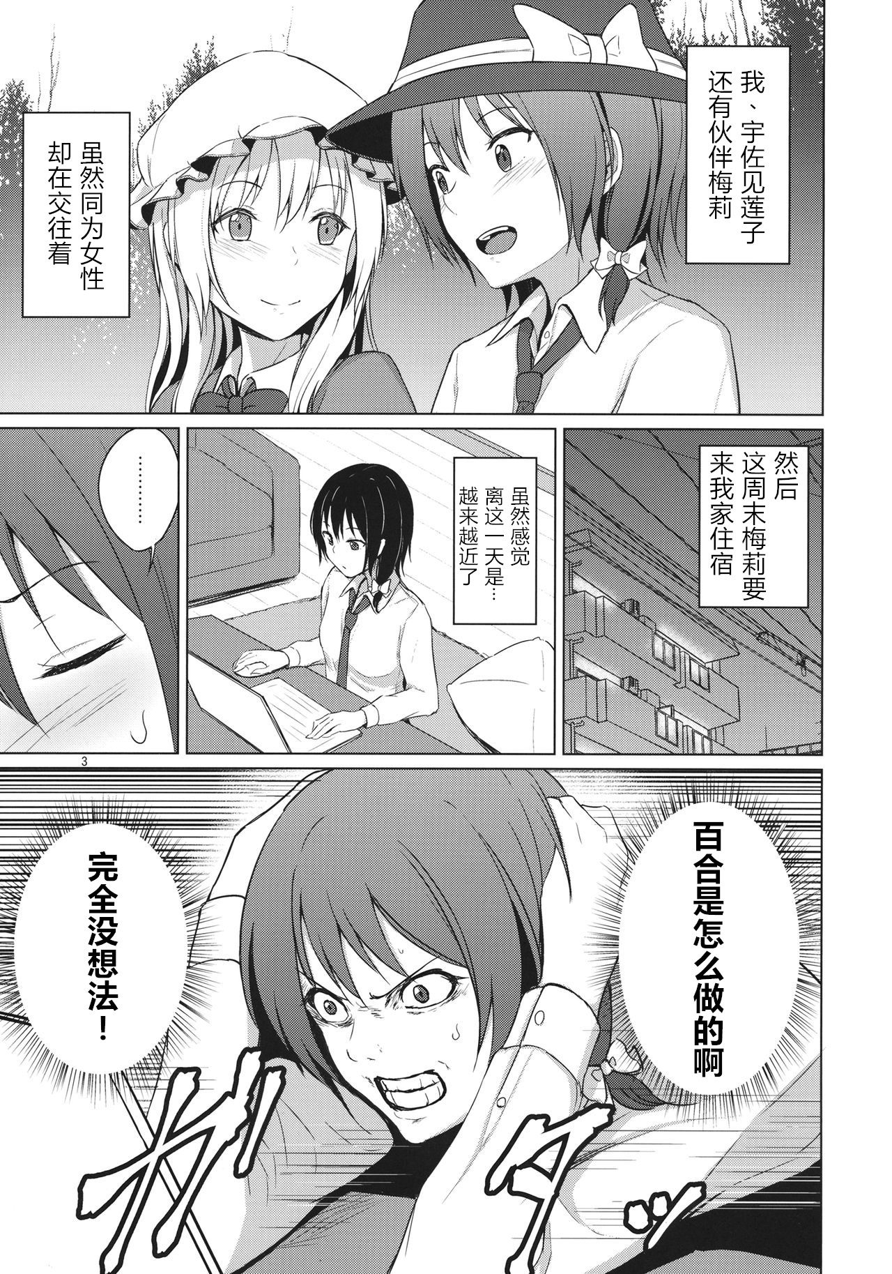 (Shuuki Reitaisai 6) [Mugendai (Humei)] Aikata to Lesbian Fuuzoku o Kanshou suru Koto ni Narimashita. (Touhou Project) [Chinese] [WTM直接汉化] page 3 full