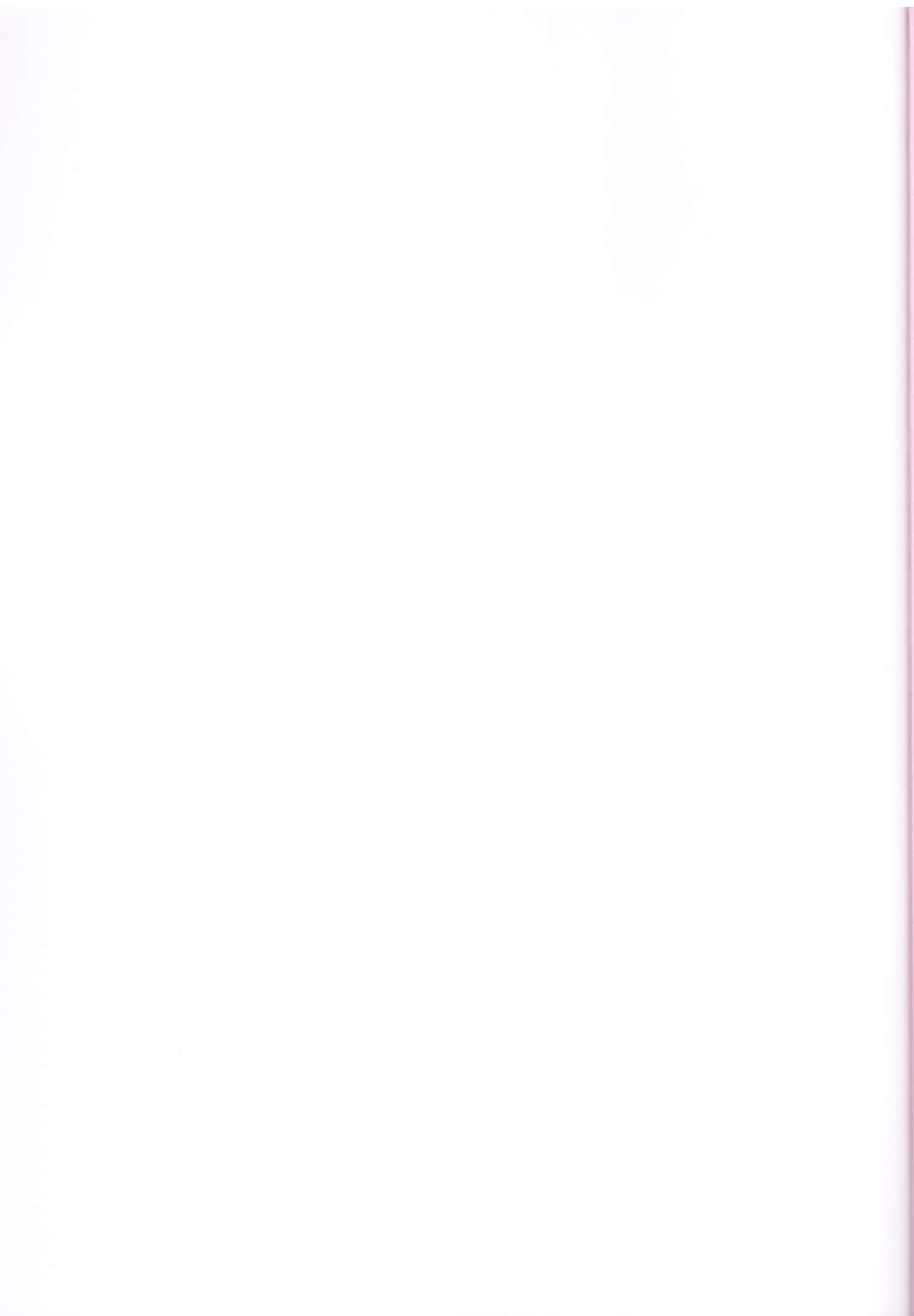 (COMIC1☆9) [Sekai Kakumei Club (Ozawa Reido)] Kira Mina Escalation (Go! Princess PreCure) page 35 full