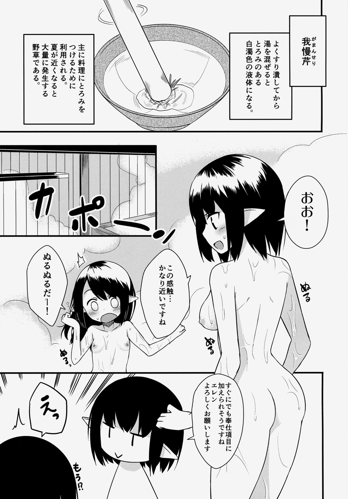 (C85) [Wasuraruru Tegami (Binsen)] Elf Shimai no Chousen page 4 full