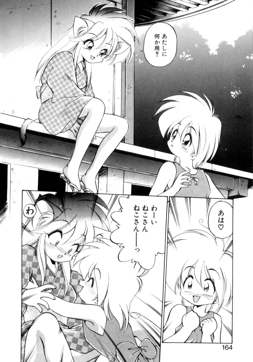 [Ebi Fly] Mainichi ga Wonderland page 159 full