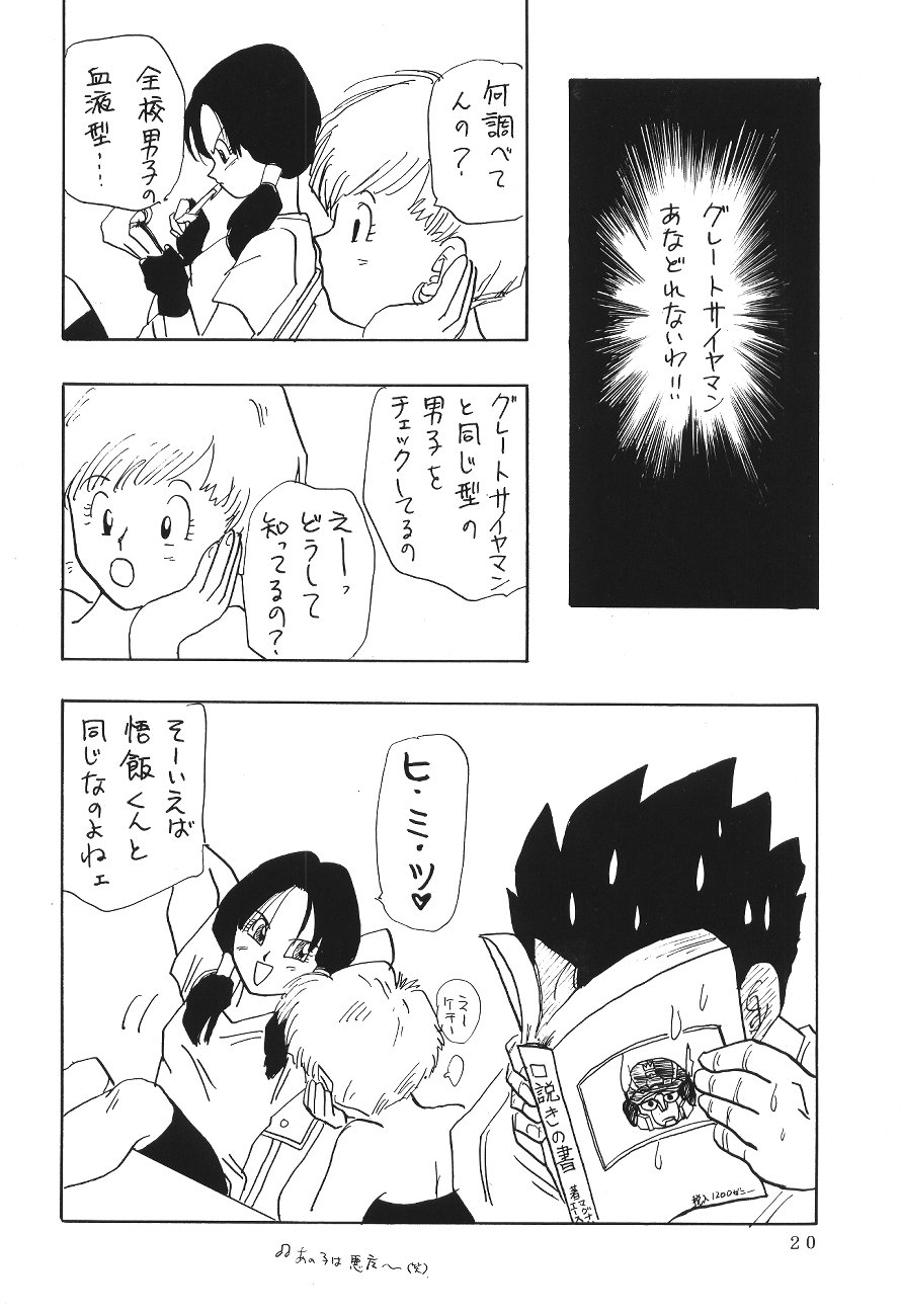 (C45) [Chirigami Goya, Fusuma go Ten (Shoji Hariko)] XXX (DRAGON BALL) page 19 full